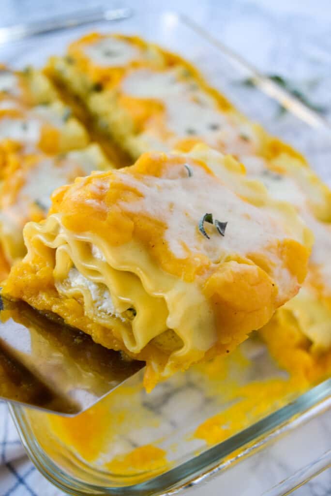 Butternut Squash Lasagna Rolls