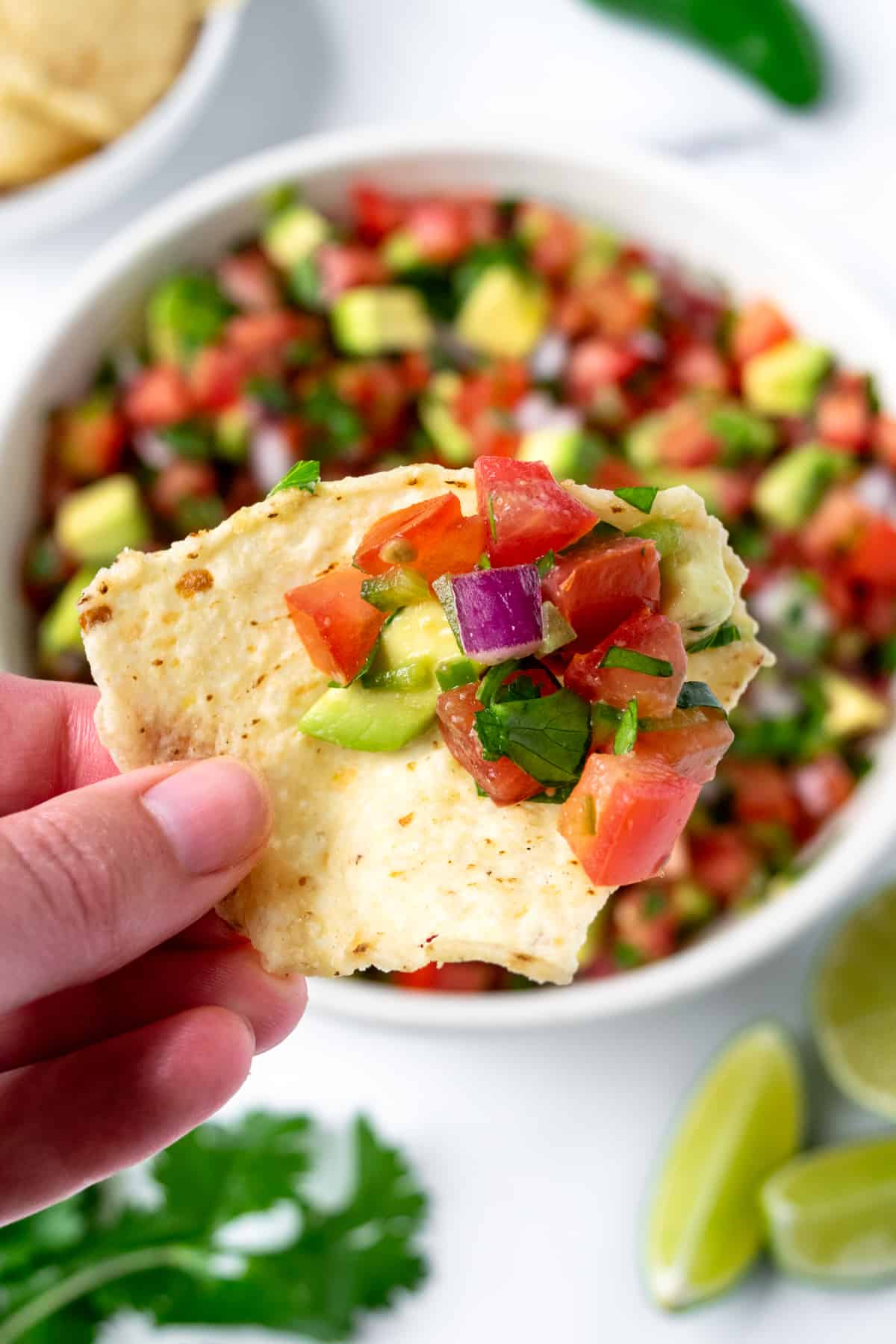 A hand holding a tortilla chip with pico de gallo with avocado on it.