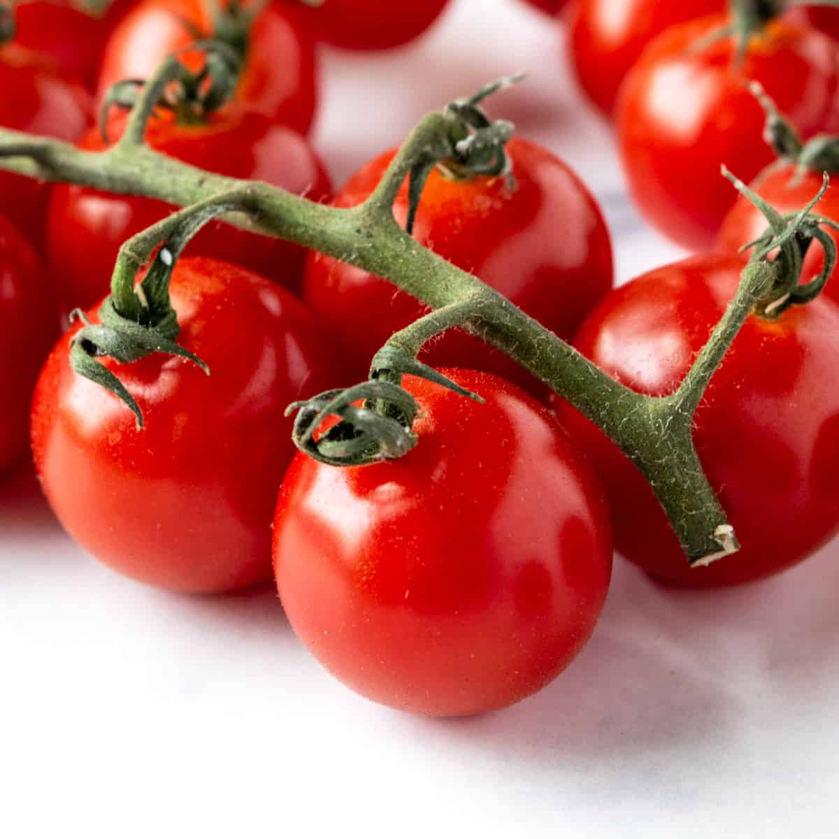 Cherry Tomatoes on the Vine.