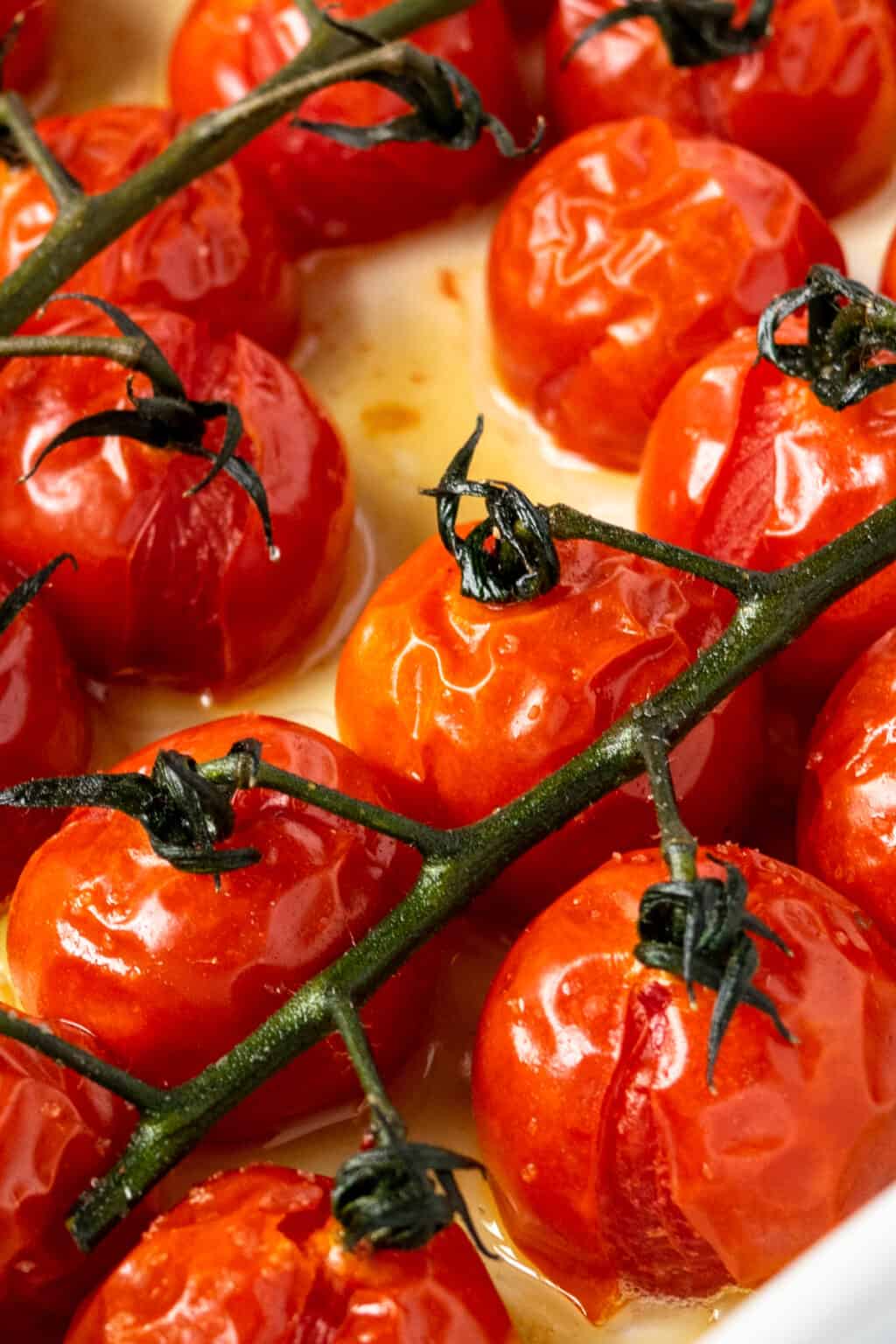 Roasted Tomatoes On The Vine Fresh Apron