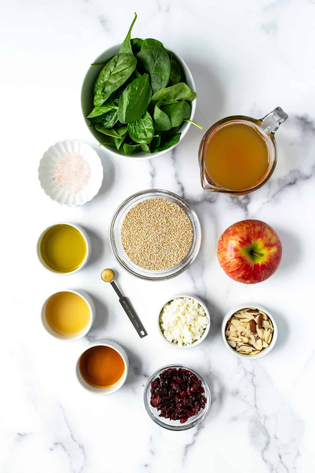 Apple Cranberry Quinoa Salad Ingredients.