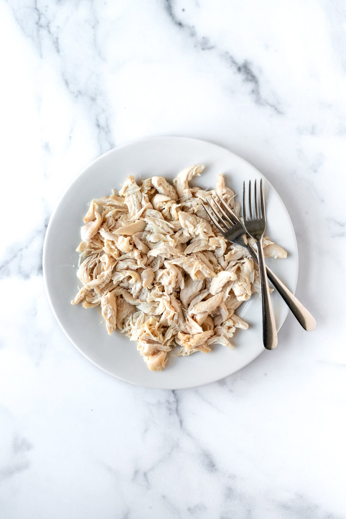 Shredded chicken on a white plate.