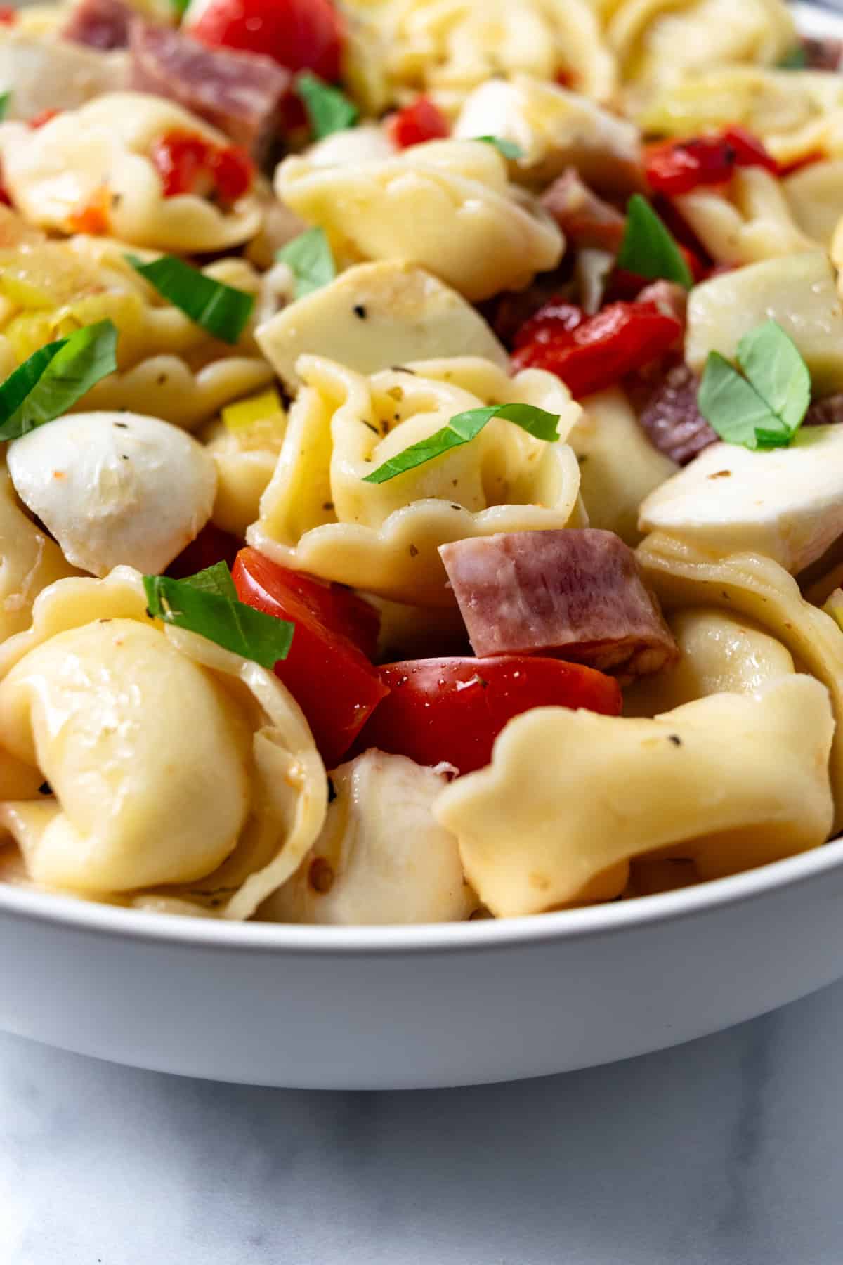 Closeup photo of Antipasto Tortellini Salad.