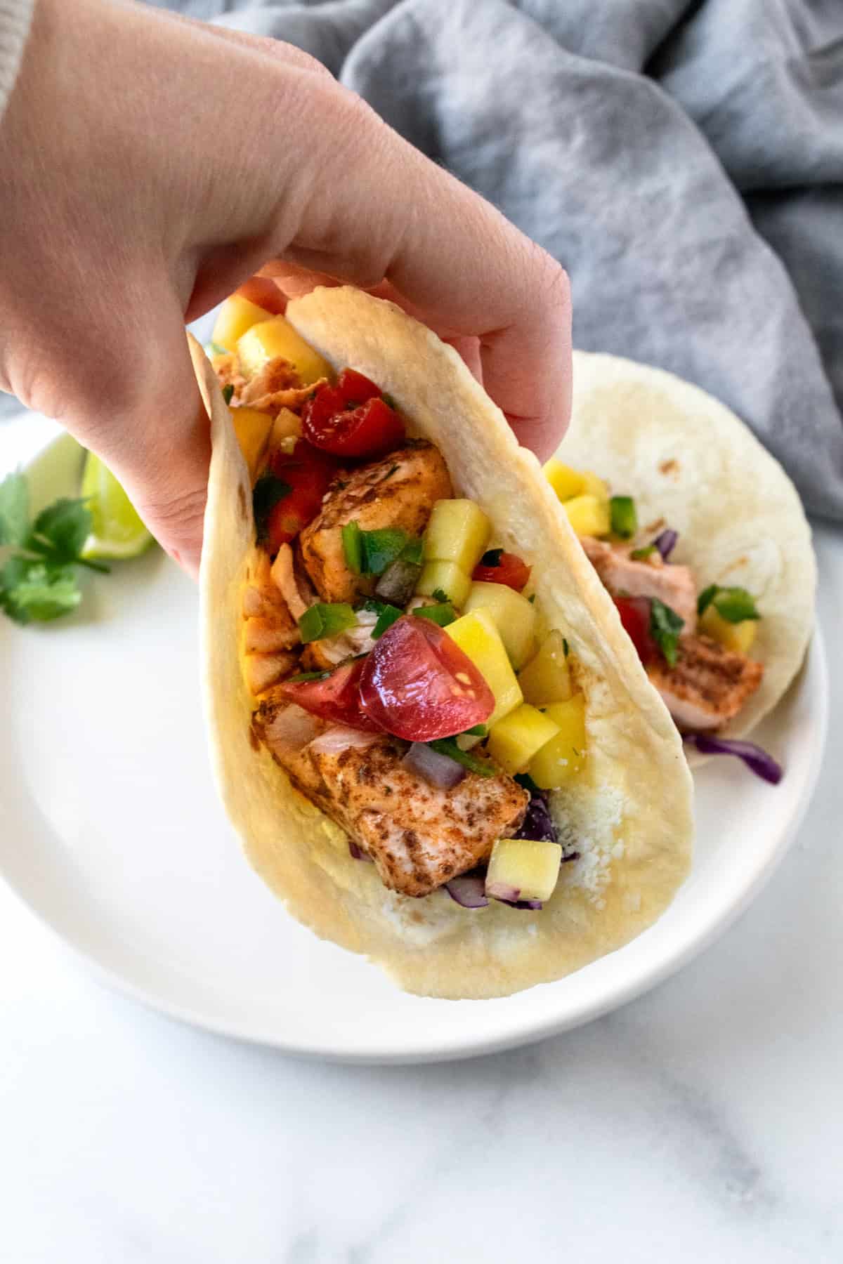 A hand holding a salmon taco.