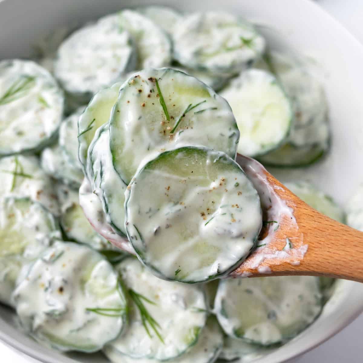 A spoonful of Greek Yogurt Cucumber Salad.