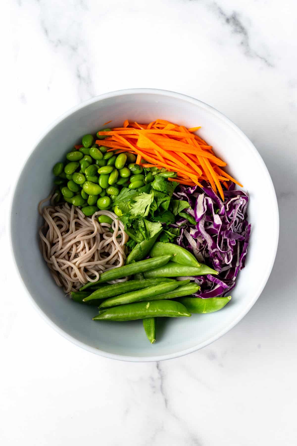 Cold Soba Noodle Salad Ingredients in a White Bowl.