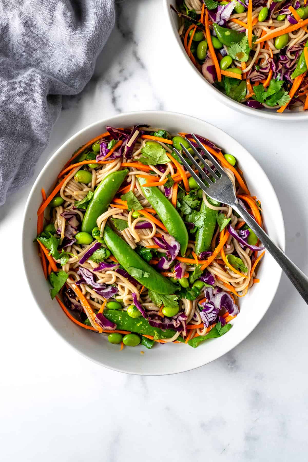 Soba Noodle Bowls on a white countertop.