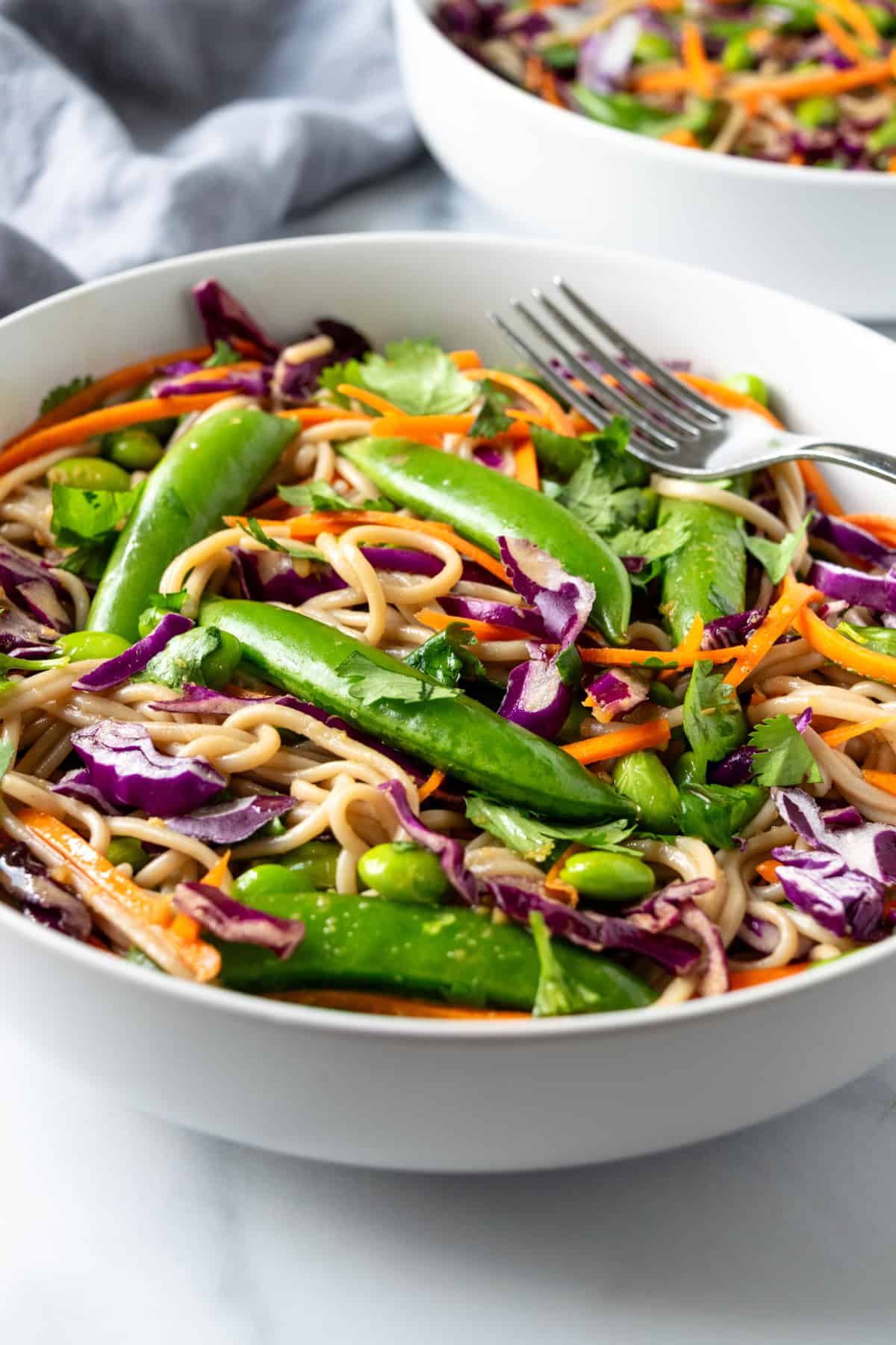 Cold Soba Noodle Salad in a white bowl with a fork.