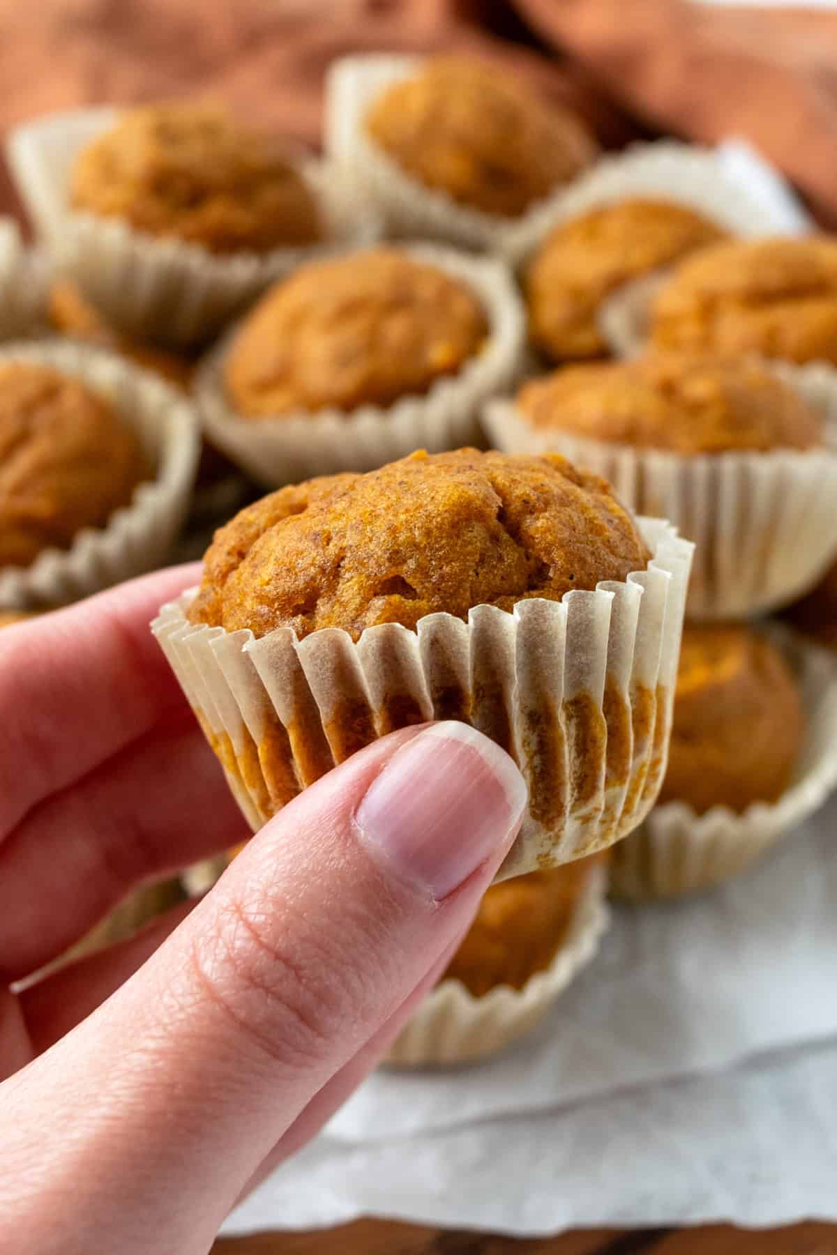 Hand holding a mini pumpkin muffin.