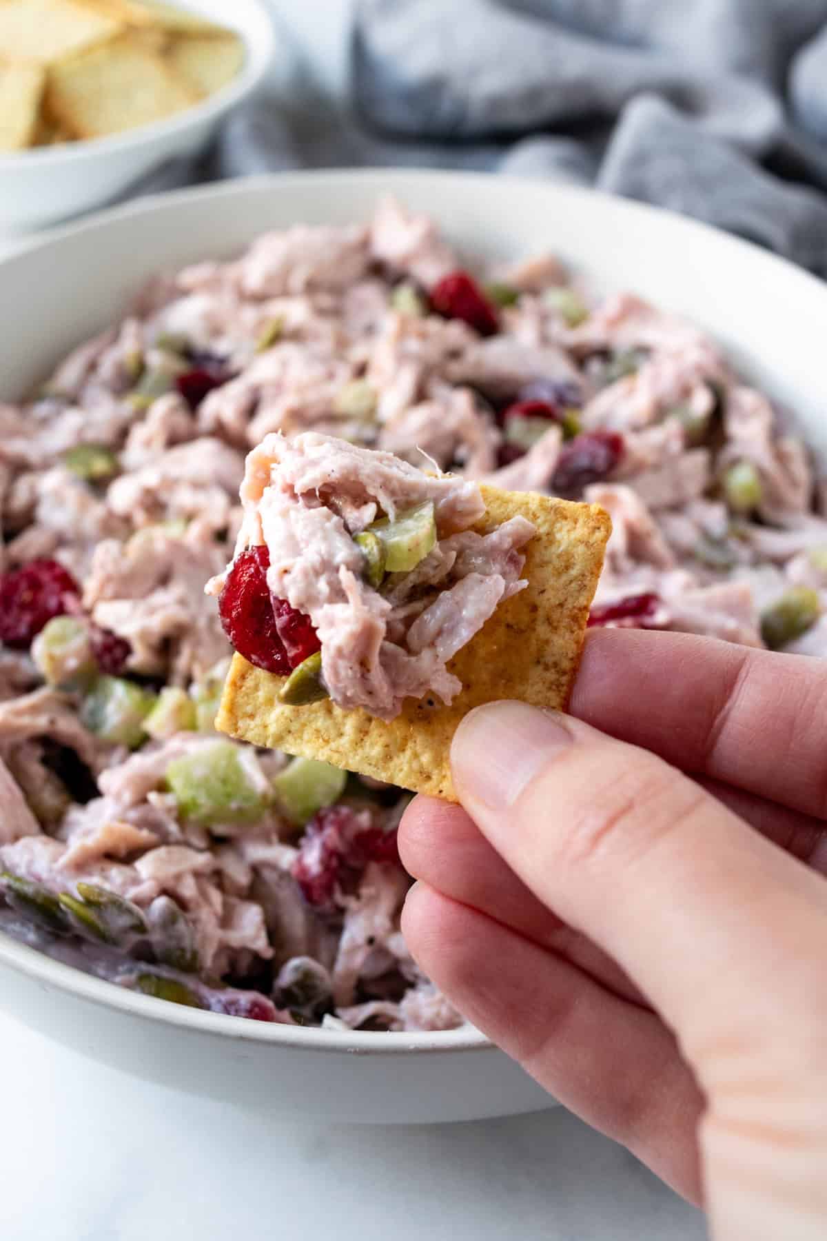 A hand holding a cracker with Cranberry Turkey Salad.